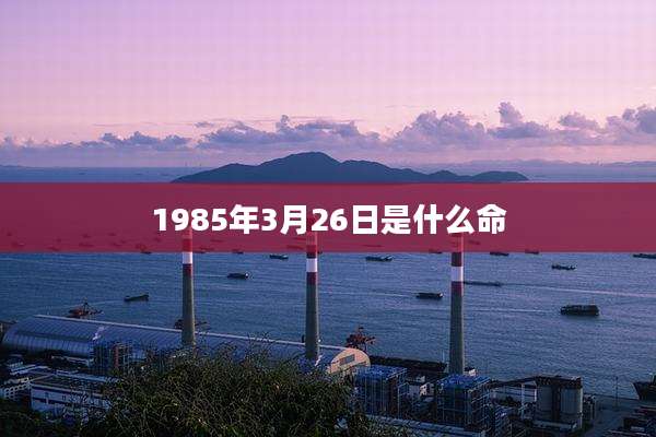 1985年3月26日是什么命