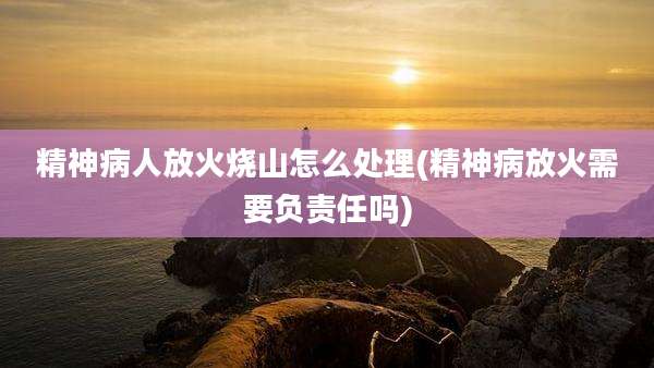 精神病人放火烧山怎么处理(精神病放火需要负责任吗)