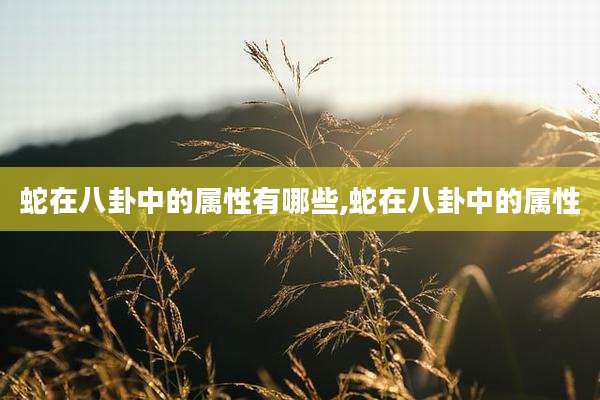 蛇在八卦中的属性有哪些,蛇在八卦中的属性