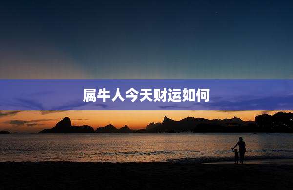 属牛人今天财运如何