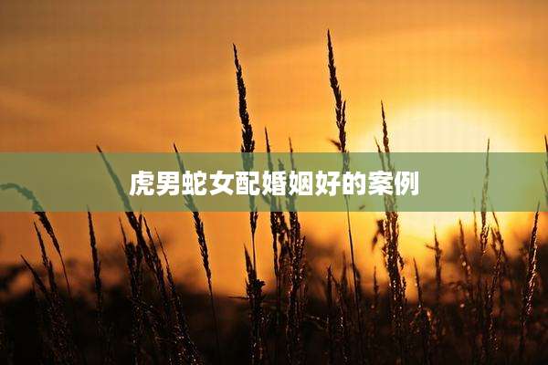 虎男蛇女配婚姻好的案例
