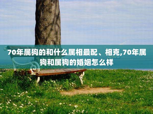 70年属狗的和什么属相最配、相克,70年属狗和属狗的婚姻怎么样