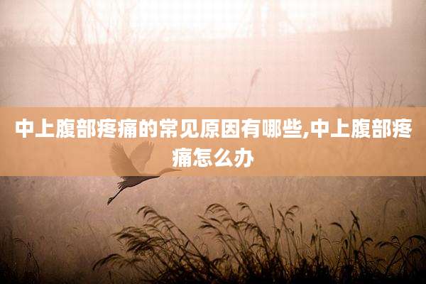 中上腹部疼痛的常见原因有哪些,中上腹部疼痛怎么办