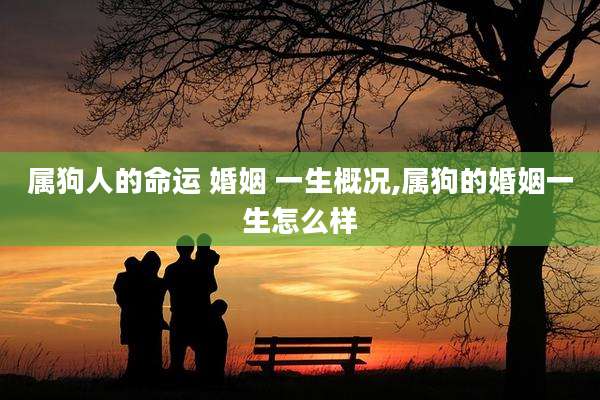 属狗人的命运 婚姻 一生概况,属狗的婚姻一生怎么样
