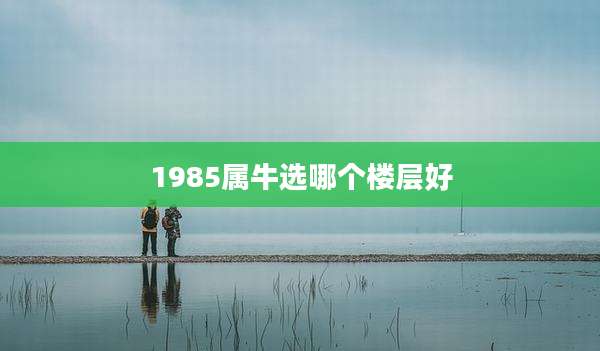 1985属牛选哪个楼层好