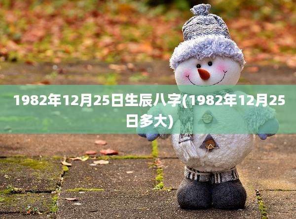 1982年12月25日生辰八字(1982年12月25日多大)