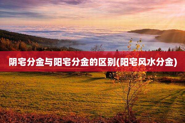 阴宅分金与阳宅分金的区别(阳宅风水分金)
