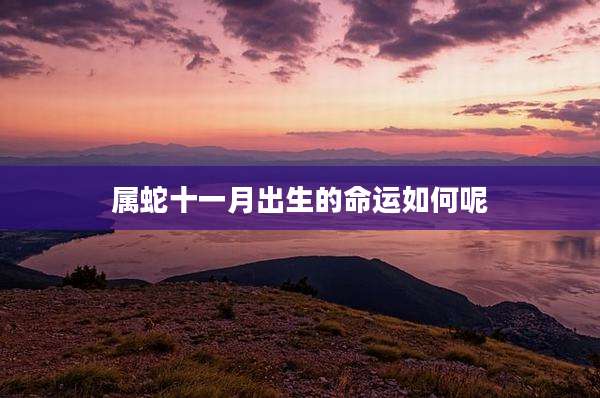 属蛇十一月出生的命运如何呢