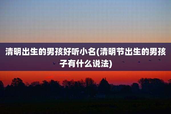 清明出生的男孩好听小名(清明节出生的男孩子有什么说法)