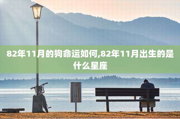 82年11月的狗命运如何,82年11月出生的是什么星座