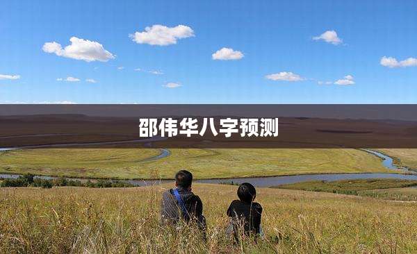 邵伟华八字预测