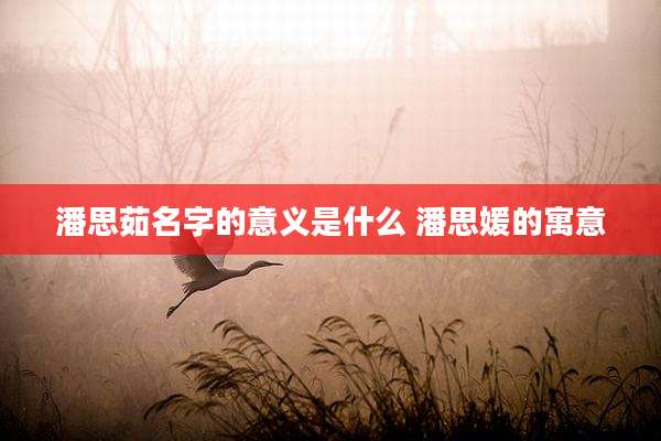 潘思茹名字的意义是什么 潘思媛的寓意