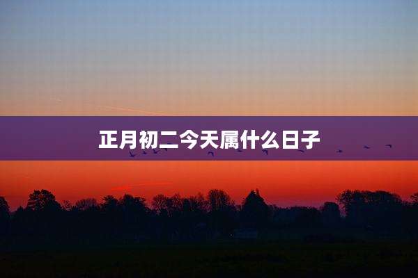 正月初二今天属什么日子