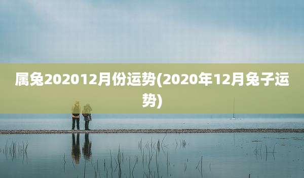 属兔202012月份运势(2020年12月兔子运势)