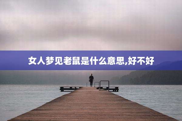 女人梦见老鼠是什么意思,好不好