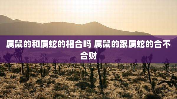 属鼠的和属蛇的相合吗 属鼠的跟属蛇的合不合财