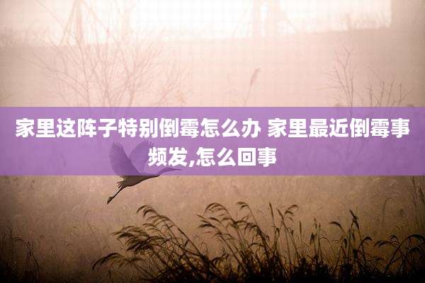 家里这阵子特别倒霉怎么办 家里最近倒霉事频发,怎么回事