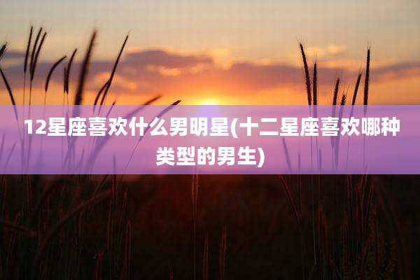 12星座喜欢什么男明星(十二星座喜欢哪种类型的男生)