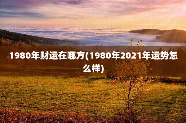 1980年财运在哪方(1980年2021年运势怎么样)