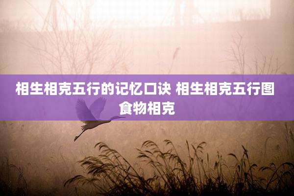 相生相克五行的记忆口诀 相生相克五行图 食物相克