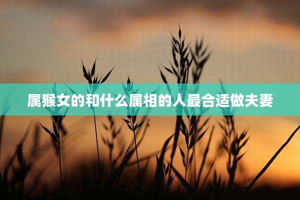 属猴女的和什么属相的人最合适做夫妻