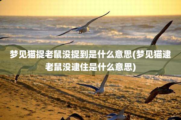 梦见猫捉老鼠没捉到是什么意思(梦见猫逮老鼠没逮住是什么意思)