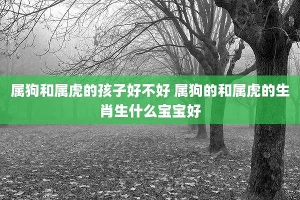 属狗和属虎的孩子好不好 属狗的和属虎的生肖生什么宝宝好