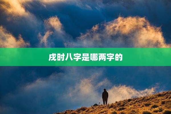 戌时八字是哪两字的