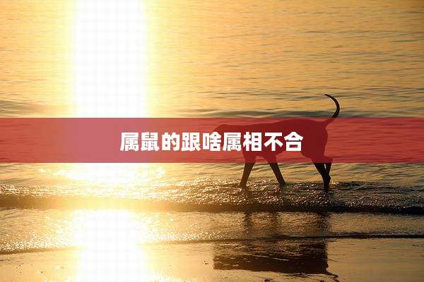 属鼠的跟啥属相不合