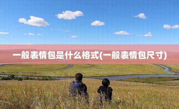 一般表情包是什么格式(一般表情包尺寸)