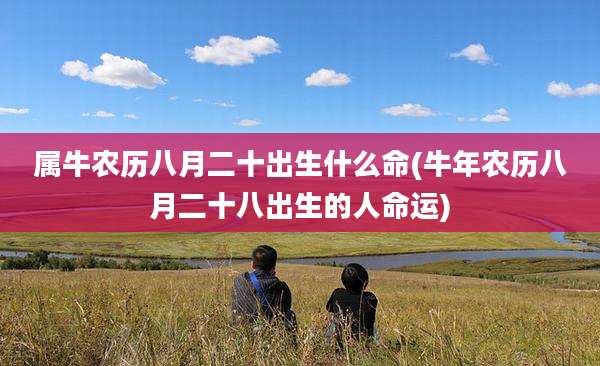属牛农历八月二十出生什么命(牛年农历八月二十八出生的人命运)