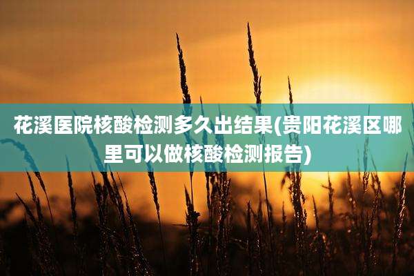 花溪医院核酸检测多久出结果(贵阳花溪区哪里可以做核酸检测报告)