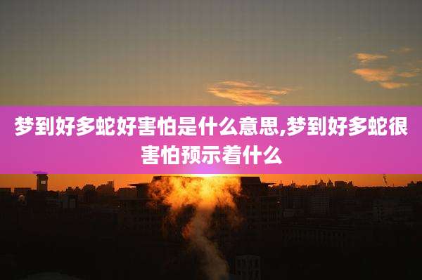梦到好多蛇好害怕是什么意思,梦到好多蛇很害怕预示着什么