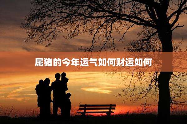 属猪的今年运气如何财运如何