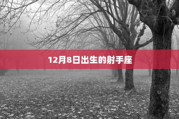 12月8日出生的射手座