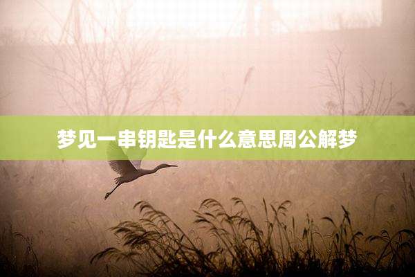 梦见一串钥匙是什么意思周公解梦