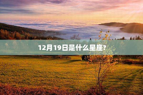 12月19日是什么星座?