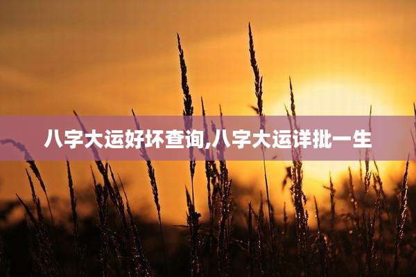 八字大运好坏查询,八字大运详批一生