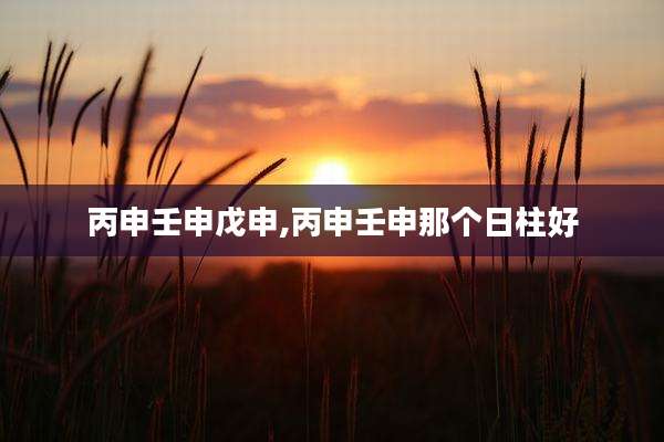 丙申壬申戊申,丙申壬申那个日柱好