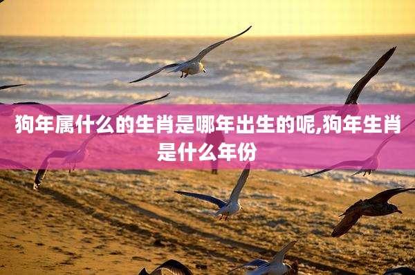 狗年属什么的生肖是哪年出生的呢,狗年生肖是什么年份