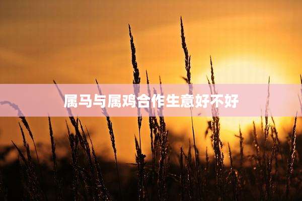 属马与属鸡合作生意好不好