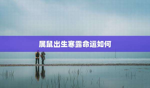 属鼠出生寒露命运如何