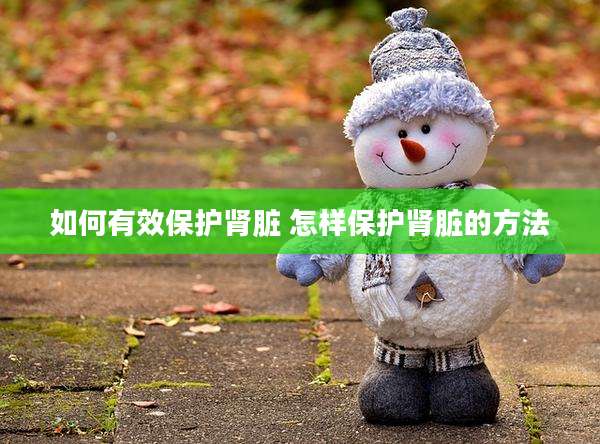如何有效保护肾脏 怎样保护肾脏的方法