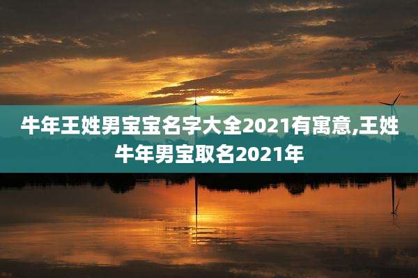 牛年王姓男宝宝名字大全2021有寓意,王姓牛年男宝取名2021年