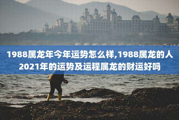 1988属龙年今年运势怎么样,1988属龙的人2021年的运势及运程属龙的财运好吗