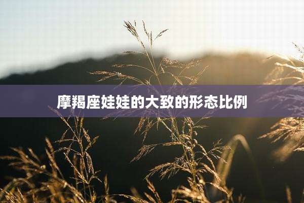 摩羯座娃娃的大致的形态比例