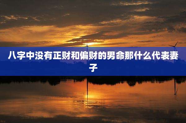 八字中没有正财和偏财的男命那什么代表妻子