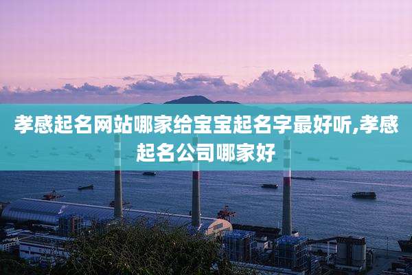 孝感起名网站哪家给宝宝起名字最好听,孝感起名公司哪家好