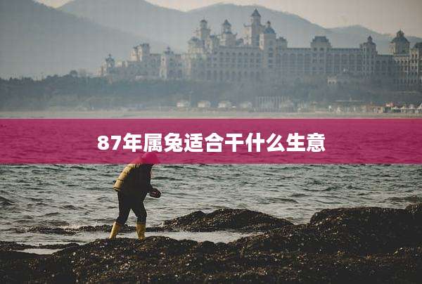 87年属兔适合干什么生意