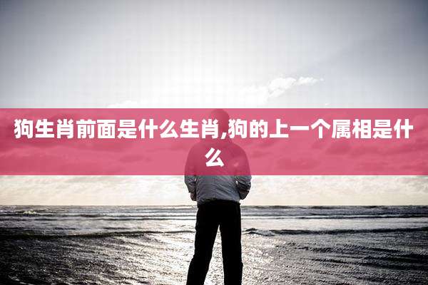狗生肖前面是什么生肖,狗的上一个属相是什么